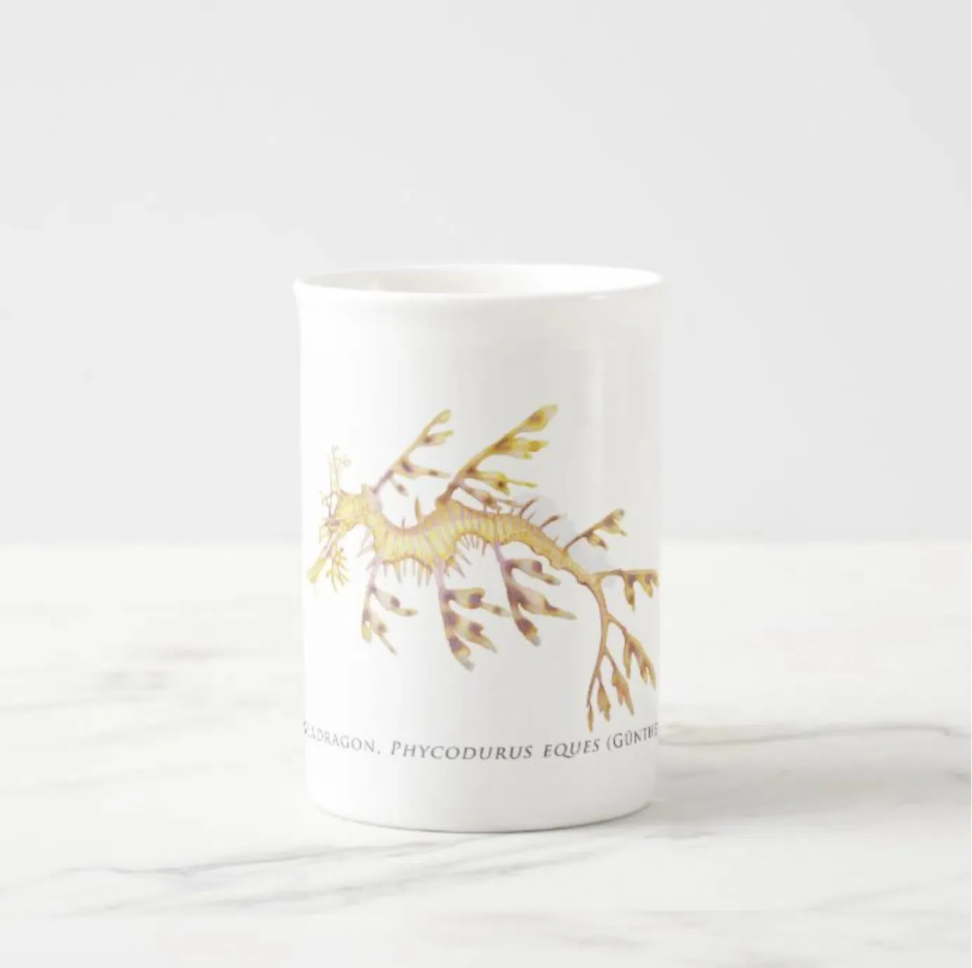 Leafy Seadragon - Fine Bone China Mug