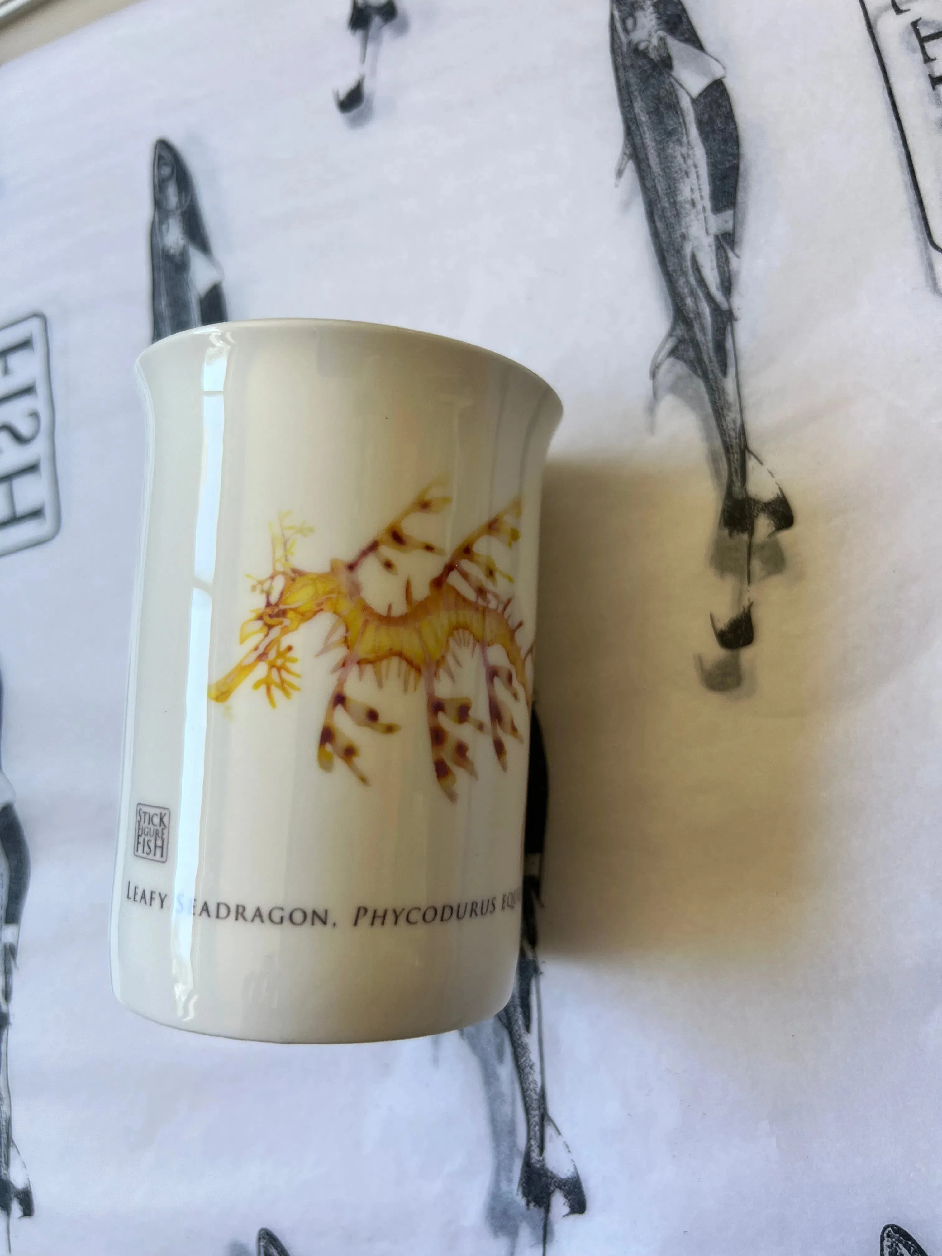 Leafy Seadragon - Fine Bone China Mug