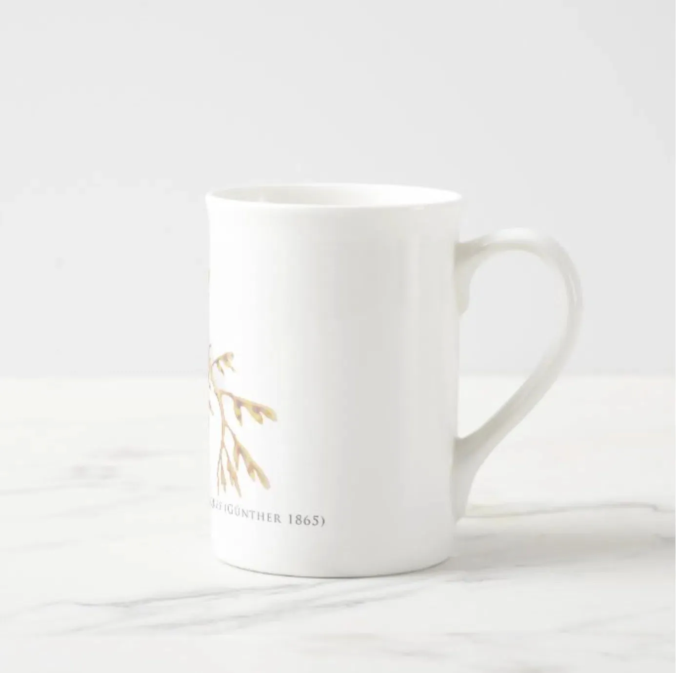 Leafy Seadragon - Fine Bone China Mug