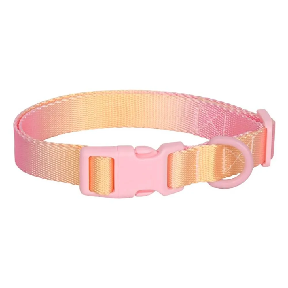 Macaroon Buckle Gradient Nylon Adjustable Dog Collar and Leash